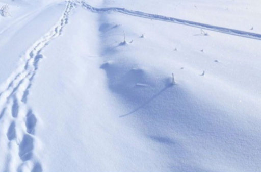 Нийт газар нутгийн 72 хувь нь цасан бүрхүүлтэй, цасны дундаж зузаан нь 7.5 см байна